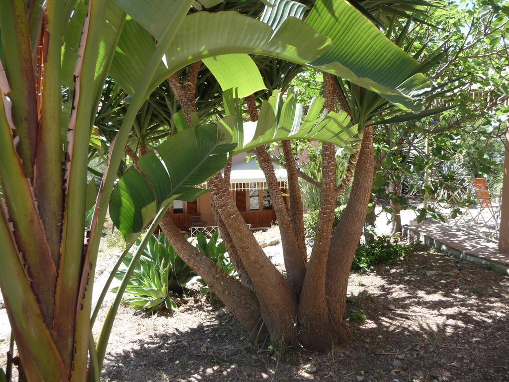 Villa Paladino Solunto Santa Flavia Ngoại thất bức ảnh